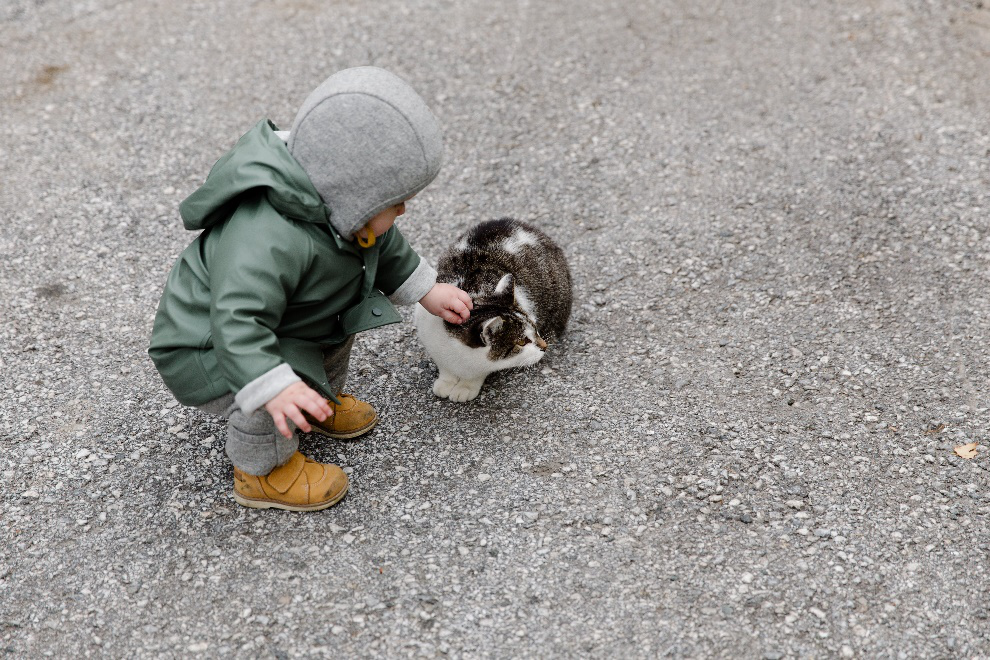 A toddler and a cat
